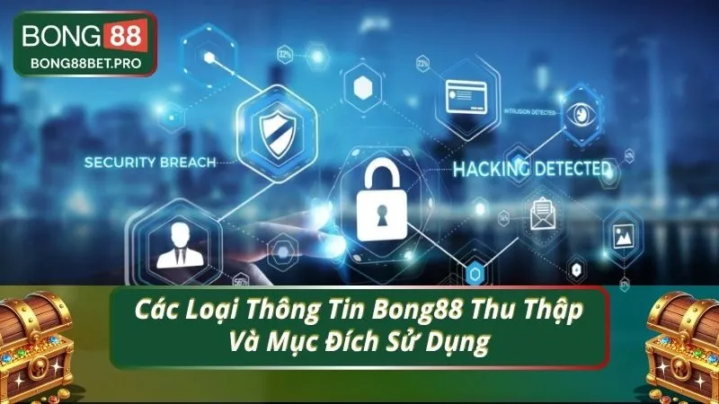 Các Loại Thông Tin Bong88 Thu Thập Và Mục Đích Sử Dụng