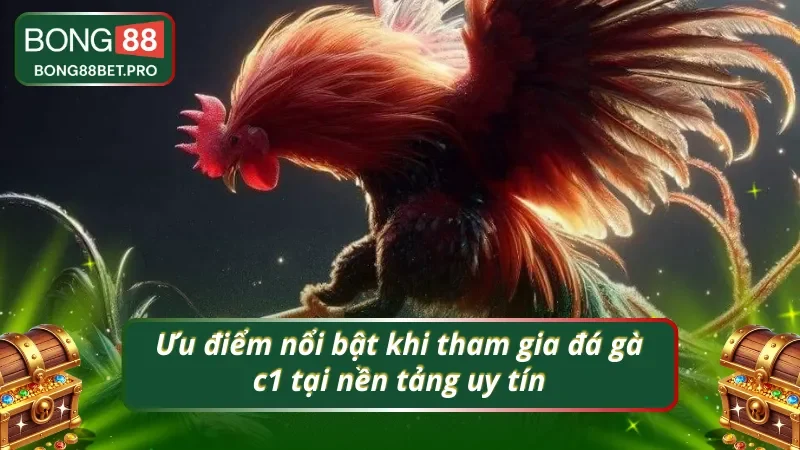 Ưu điểm nổi bật khi tham gia đá gà c1 tại nền tảng uy tín